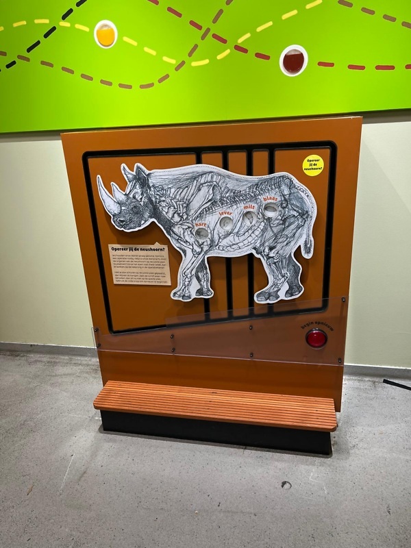 Diergaarde Blijdorp
