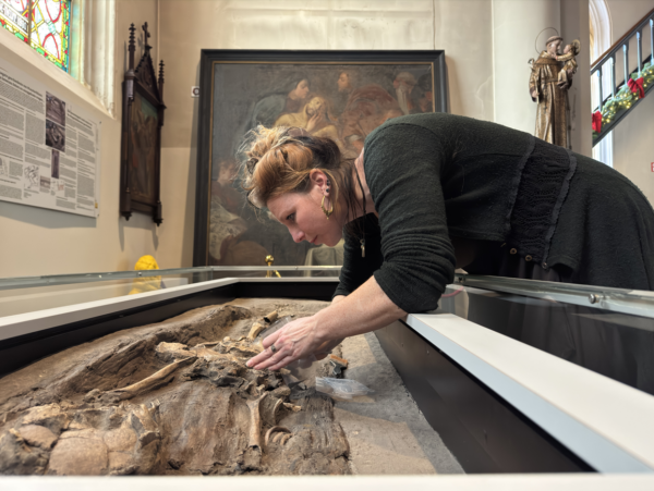 Boomstamgraf vitrine Munsterbilzen